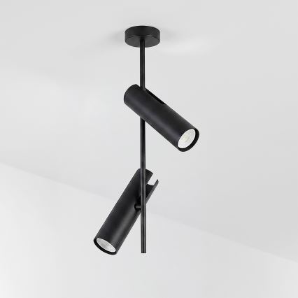 Brilagi - LED RGBW Stmívatelný lustr na tyči BRANCH 2xGU10/6,5W/230V 2700-6500K černá