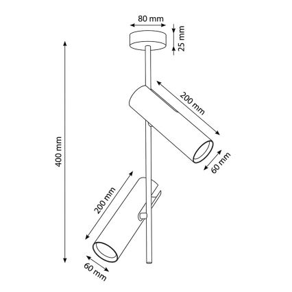 Brilagi - LED RGBW Stmívatelný lustr na tyči BRANCH 2xGU10/6,5W/230V 2700-6500K černá