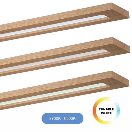 Brilagi - LED RGBW Stmívatelný panel WOODY FRAME LED/34W/230V 11,5x123 cm 2700-6500K dub + dálkové ovládání