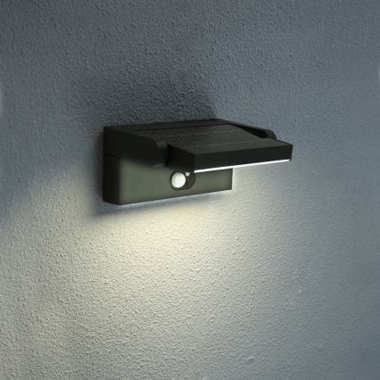 Brilagi - LED Solární nástěnné svítidlo se senzorem ANKLE LED/3,5W/3,7V 2200 mAh IP54