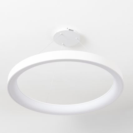 Brilagi - LED Stmívatelný lustr na lanku FALCON II LED/108W/230V 3000-6500K pr. 80 cm bílá + dálkové ovládání