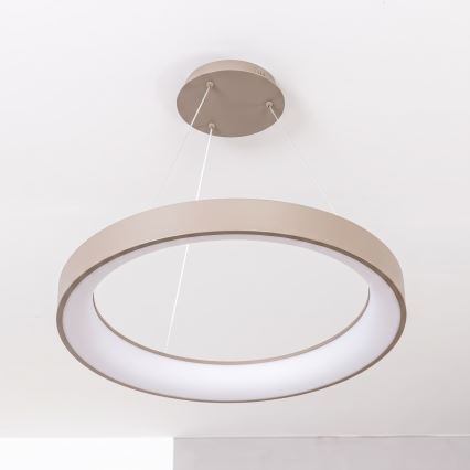 BRILAGI - LED Stmívatelný lustr na lanku FALCON II LED/99W/230V 3000-6500K pr. 60 cm béžová + dálkové ovládání