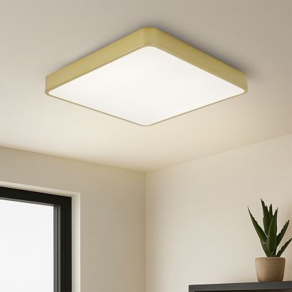Brilagi - LED Stmívatelné stropní svítidlo POOL SQUARE LED/48W/230V 3000-6000K 50x50 cm zlatá + dálkové ovládání