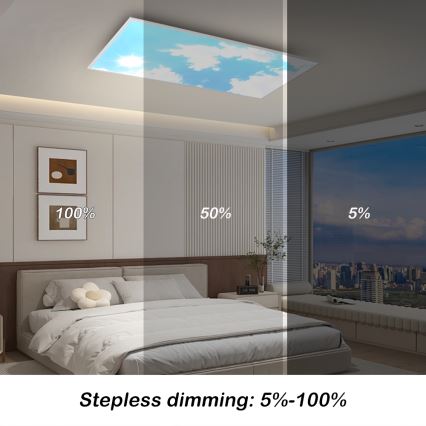 Brilagi - LED Stmívatelné stropní svítidlo SLIMFRAME LED/80W/230V 120x60 cm 3000-6000K stříbrná/modrá + dálkové ovládání