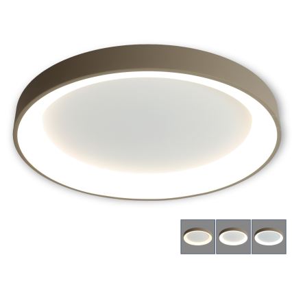 BRILAGI - LED Stmívatelné stropní svítidlo FALCON II LED/108W/230V 3000-6500K pr. 80 cm bílá/béžová + dálkové ovládání