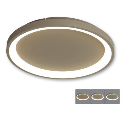 BRILAGI - LED Stmívatelné stropní svítidlo FALCON SLIM LED/42W/230V 3000-6500K pr. 50 cm béžová + dálkové ovládání