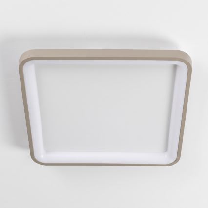 BRILAGI - LED Stmívatelné stropní svítidlo FALCON SLIM LED/50W/230V 3000-6500K 50x50 cm bílá/béžová + dálkové ovládání