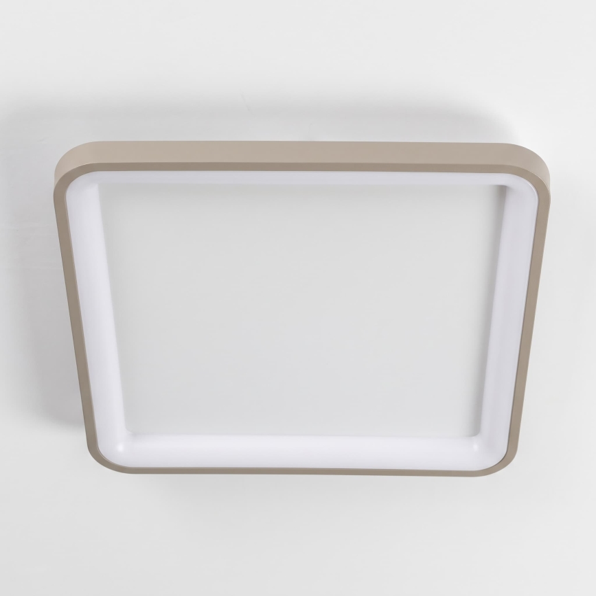 BRILAGI - LED Stmívatelné stropní svítidlo FALCON SLIM LED/50W/230V 3000-6500K 50x50 cm bílá/béžová + dálkové ovládání