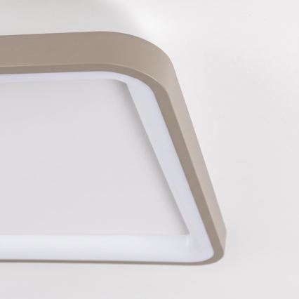 BRILAGI - LED Stmívatelné stropní svítidlo FALCON SLIM LED/50W/230V 3000-6500K 50x50 cm bílá/béžová + dálkové ovládání
