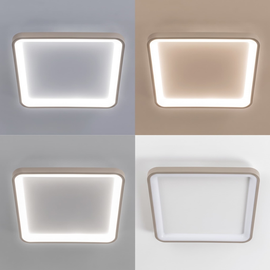 BRILAGI - LED Stmívatelné stropní svítidlo FALCON SLIM LED/50W/230V 3000-6500K 50x50 cm bílá/béžová + dálkové ovládání