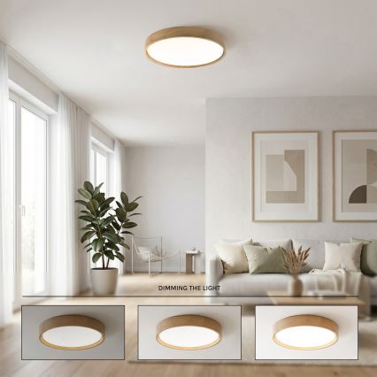 Brilagi - LED Stmívatelné stropní svítidlo MANAROLA REMOTE LED/36W/230V 3000-6500K pr. 51 cm dub + dálkové ovládání