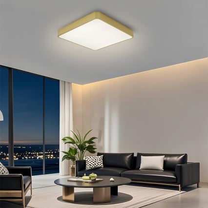 Brilagi - LED Stmívatelné stropní svítidlo POOL LED/48W/230V 3000-6000K 50x50 cm zlatá + dálkové ovládání