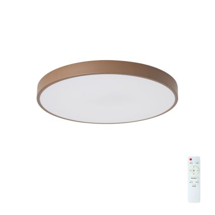 Brilagi - LED Stmívatelné stropní svítidlo POOL LED/60W/230V 3000-6000K pr. 50 cm hnědá + dálkové ovládání