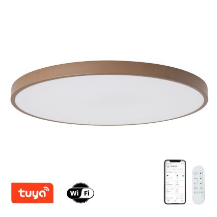 Brilagi - LED Stmívatelné svítidlo POOL SMART LED/128W/230V pr. 100 cm Wi-Fi Tuya + dálkové ovládání hnědá