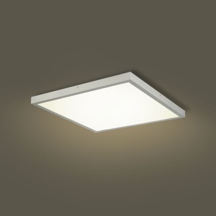 Brilagi - LED Stmívatelné koupelnové stropní svítidlo FRAME SMART LED/50W/230V 60x60 cm 3000-6000K IP44 stříbrná + dálkové ovládání