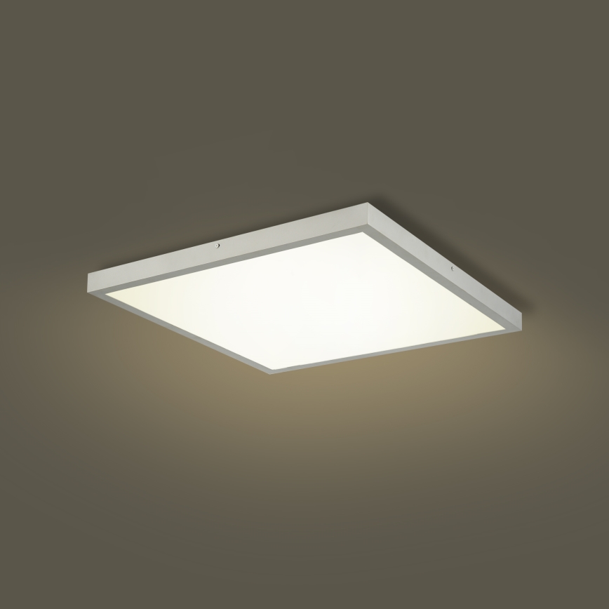 Brilagi - LED Stmívatelné koupelnové stropní svítidlo FRAME SMART LED/50W/230V 60x60 cm 3000-6000K IP44 stříbrná + dálkové ovládání