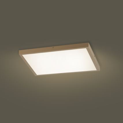 Brilagi - LED Stmívatelné koupelnové stropní svítidlo FRAME SMART LED/50W/230V 60x60 cm 3000-6000K IP44 béžová + dálkové ovládání
