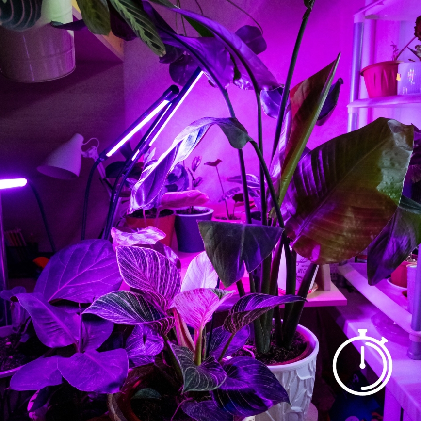 Brilagi - LED Stmívatelná flexibilní stolní lampa s klipem pro pěstování rostlin VITABLOOM 3xLED/10W/230V černá