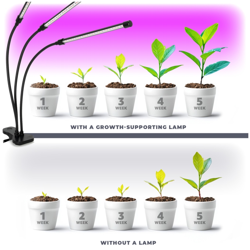 Brilagi - LED Stmívatelná flexibilní stolní lampa s klipem pro pěstování rostlin VITABLOOM 3xLED/10W/230V černá