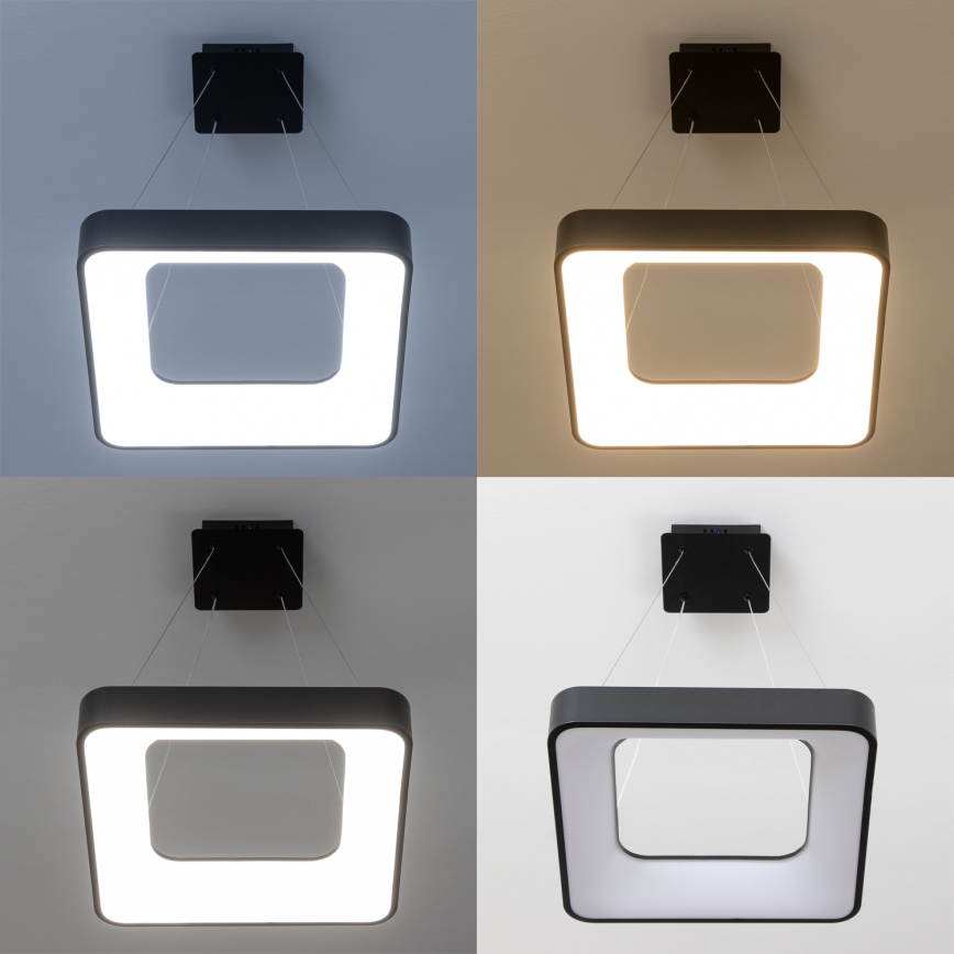 Brilagi - LED Stmívatelný lustr na lanku FALCON II LED/80W/230V 3000-6500K 40x40 cm černá + dálkové ovládání