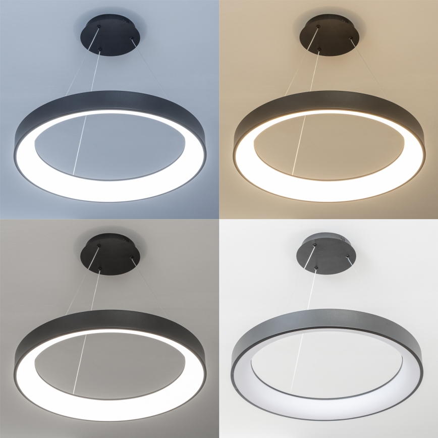 Brilagi - LED Stmívatelný lustr na lanku FALCON II LED/99W/230V 3000-6500K pr. 60 cm černá + dálkové ovládání