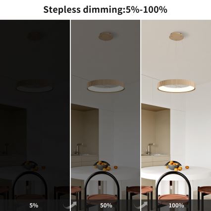 Brilagi - LED Stmívatelný lustr na lanku FALCON MODERN LED/30W/230V 3000-6500K 40 cm béžová + dálkové ovládání