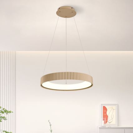 Brilagi - LED Stmívatelný lustr na lanku FALCON MODERN LED/30W/230V 3000-6500K 40 cm béžová + dálkové ovládání