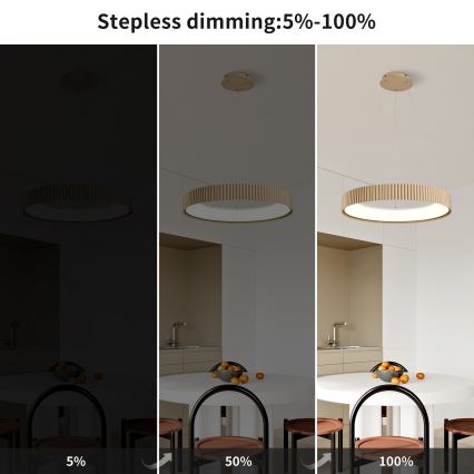 Brilagi - LED Stmívatelný lustr na lanku FALCON MODERN LED/54W/230V 3000-6500K pr. 60 cm béžová + dálkové ovládání