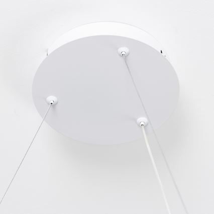 Brilagi - LED Stmívatelný lustr na lanku FALCON SLIM LED/42W/230V 3000-6500K pr. 50 cm bílá + dálkové ovládání