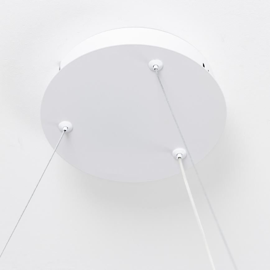 Brilagi - LED Stmívatelný lustr na lanku FALCON SLIM LED/42W/230V 3000-6500K pr. 50 cm bílá + dálkové ovládání