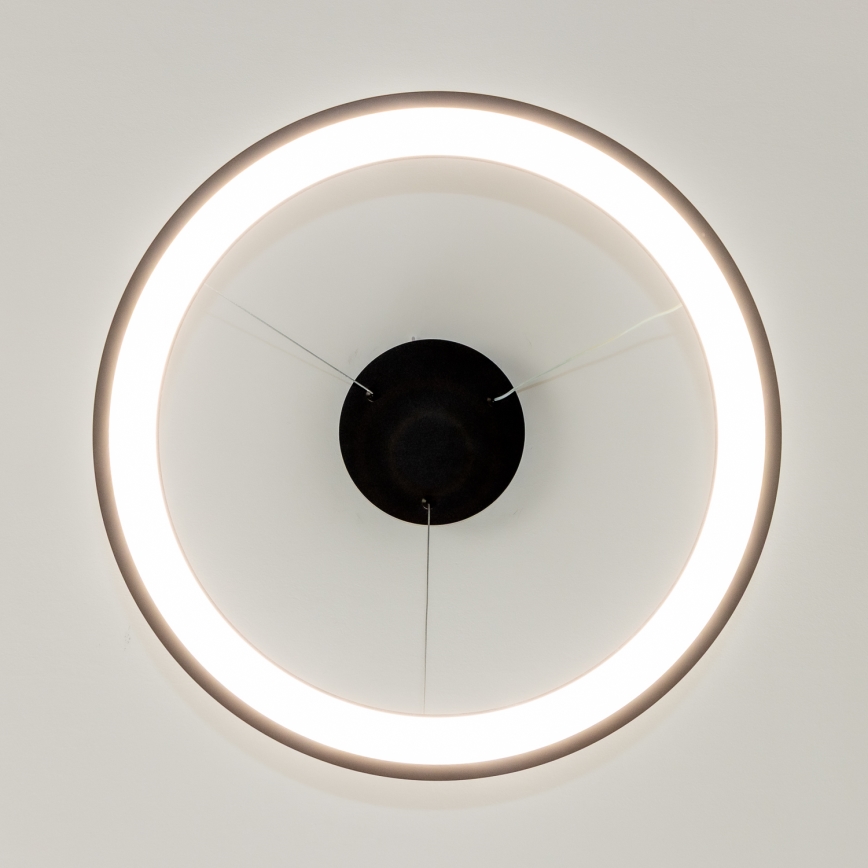 Brilagi - LED Stmívatelný lustr na lanku FALCON SLIM LED/42W/230V 3000-6500K pr. 50 cm černá + dálkové ovládání