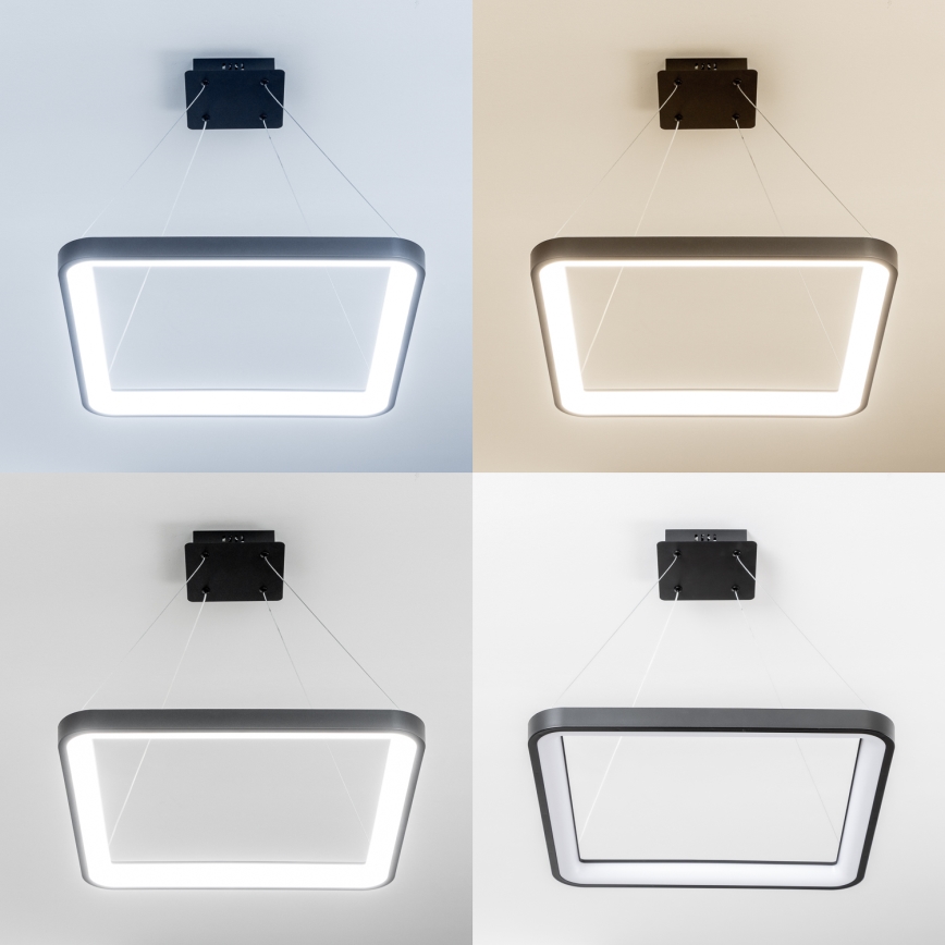 Brilagi - LED Stmívatelný lustr na lanku FALCON SLIM LED/50W/230V 3000-6500K 50x50 cm černá + dálkové ovládání