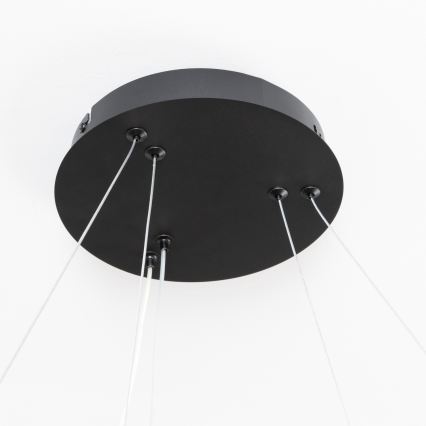 Brilagi - LED Stmívatelný lustr na lanku FALCON SLIM LED/68W/230V 3000-6500K pr. 50 cm černá + dálkové ovládání