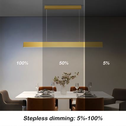 Brilagi - LED Stmívatelný lustr na lanku SLIMLINE LED/40W/230V 3000-6000K zlatá + dálkové ovládání