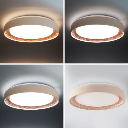Brilagi - LED Stmívatelné stropní svítidlo WALDO LED/48W/230V 3000-6500K pr. 40 cm béžová/zlatá + dálkové ovládání