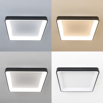Brilagi - LED Stmívatelné stropní svítidlo FALCON II LED/125W/230V 3000-6500K 60x60 cm černá + dálkové ovládání