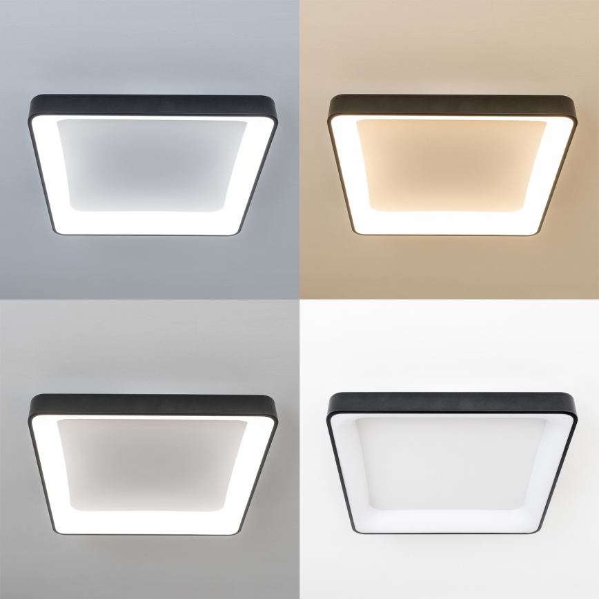 Brilagi - LED Stmívatelné stropní svítidlo FALCON II LED/125W/230V 3000-6500K 60x60 cm černá + dálkové ovládání