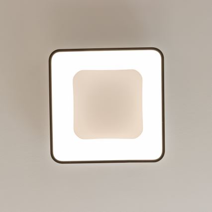 Brilagi - LED Stmívatelné stropní svítidlo FALCON II LED/80W/230V 3000-6500K 40x40 cm černá + dálkové ovládání