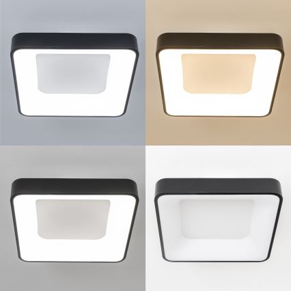 Brilagi - LED Stmívatelné stropní svítidlo FALCON II LED/80W/230V 3000-6500K 40x40 cm černá + dálkové ovládání
