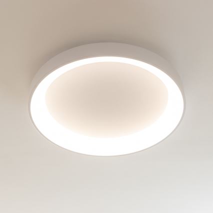 Brilagi - LED Stmívatelné stropní svítidlo FALCON II LED/99W/230V 3000-6500K pr. 60 cm bílá + dálkové ovládání