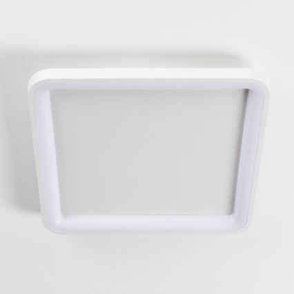 Brilagi - LED Stmívatelné stropní svítidlo FALCON SLIM LED/50W/230V 3000-6500K 50x50 cm bílá + dálkové ovládání