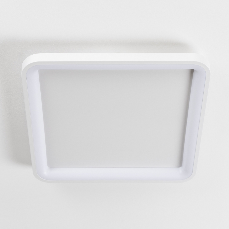 Brilagi - LED Stmívatelné stropní svítidlo FALCON SLIM LED/50W/230V 3000-6500K 50x50 cm bílá + dálkové ovládání