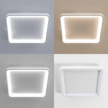 Brilagi - LED Stmívatelné stropní svítidlo FALCON SLIM LED/50W/230V 3000-6500K 50x50 cm bílá + dálkové ovládání