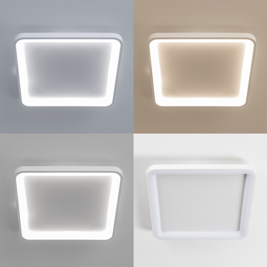 Brilagi - LED Stmívatelné stropní svítidlo FALCON SLIM LED/50W/230V 3000-6500K 50x50 cm bílá + dálkové ovládání