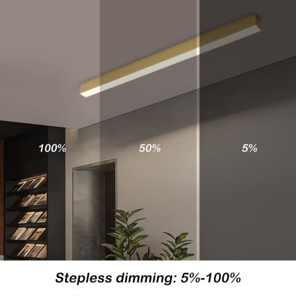 Brilagi - LED Stmívatelné stropní svítidlo SLEEKLINE SMART LED/40W/230V 3000-6000K Wi-Fi Tuya zlatá + dálkové ovládání