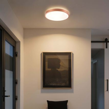 BRILAGI - LED Stmívatelné stropní svítidlo GLASS POOL DOUBLE LED/48W/230V pr. 40 cm měděná + dálkové ovládání