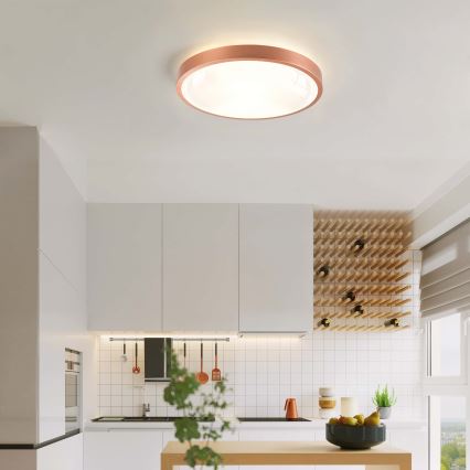 BRILAGI - LED Stmívatelné stropní svítidlo GLASS POOL DOUBLE LED/48W/230V pr. 40 cm měděná + dálkové ovládání