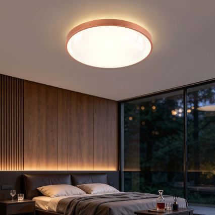 BRILAGI - LED Stmívatelné stropní svítidlo GLASS POOL DOUBLE LED/80W/230V pr. 60 cm měděná + dálkové ovládání