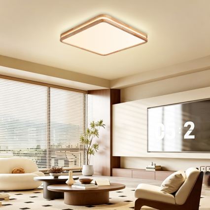Brilagi - LED Stmívatelné stropní svítidlo MOLINA SQUARE LED/80W/230V 3000-6000K dub 60x60 cm + dálkové ovládání