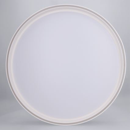 Brilagi - LED Stmívatelné stropní svítidlo NANCI LED/60W/230V 3000-6500K pr. 49 cm bílá + dálkové ovládání